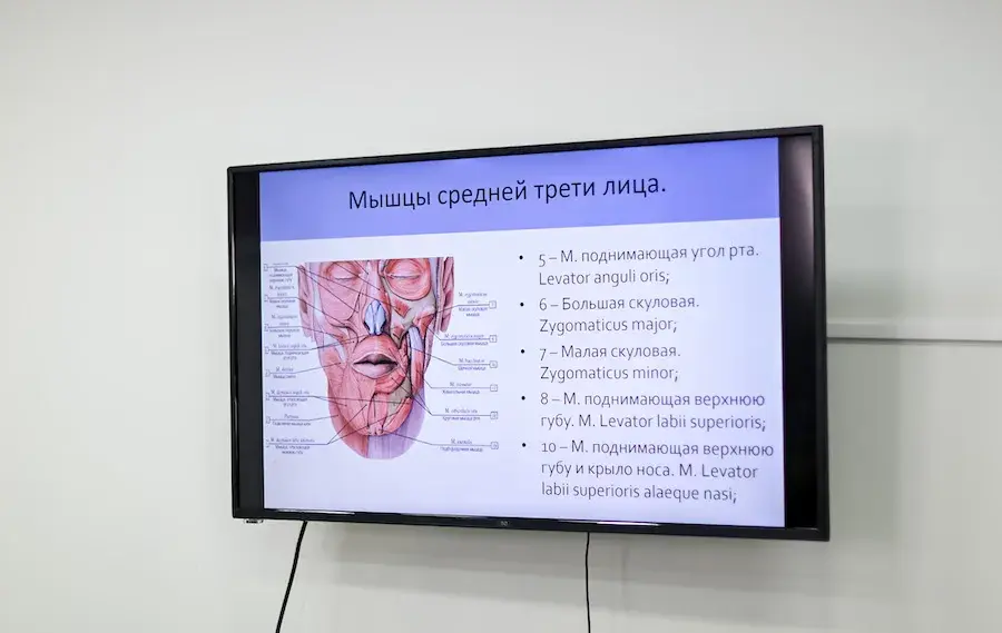 Курс применения ботулотоксина типа А в эстетической медицине Курс применения ботулотоксина типа А в эстетической медицине
